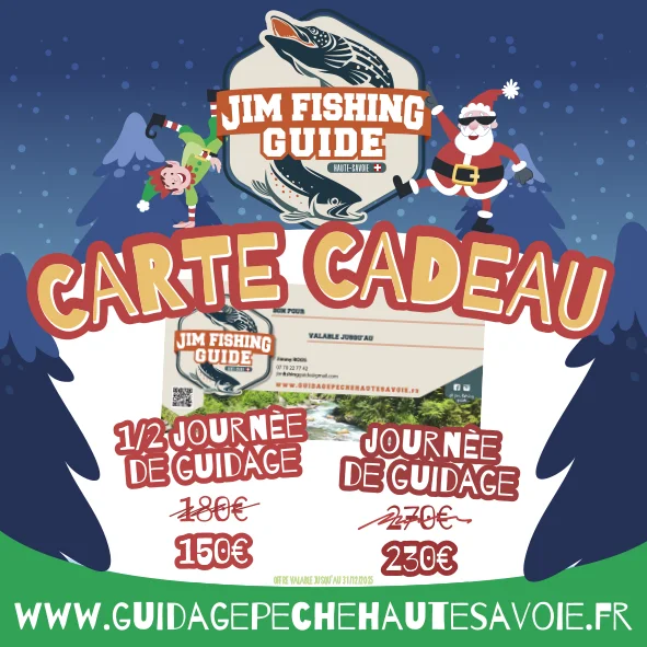 Idée cadeau Noël : séjour pêche mouche, leurre, truite, carnassier en Haute-Savoie en promotion
